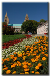 Pcs belvrosa s a Szkesegyhz